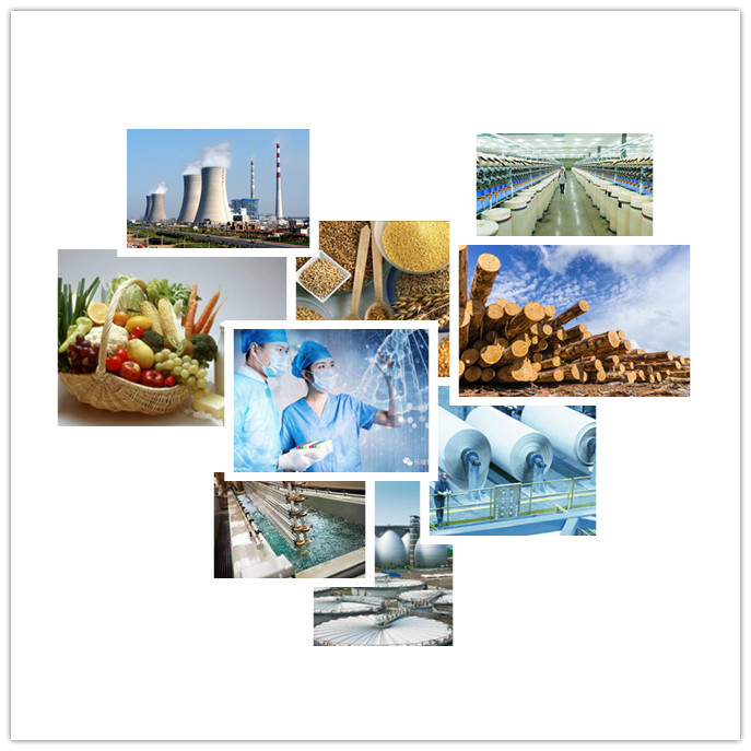 日產(chǎn)百噸的干燥設備應用領(lǐng)域